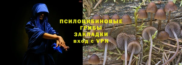 соль ск Аркадак